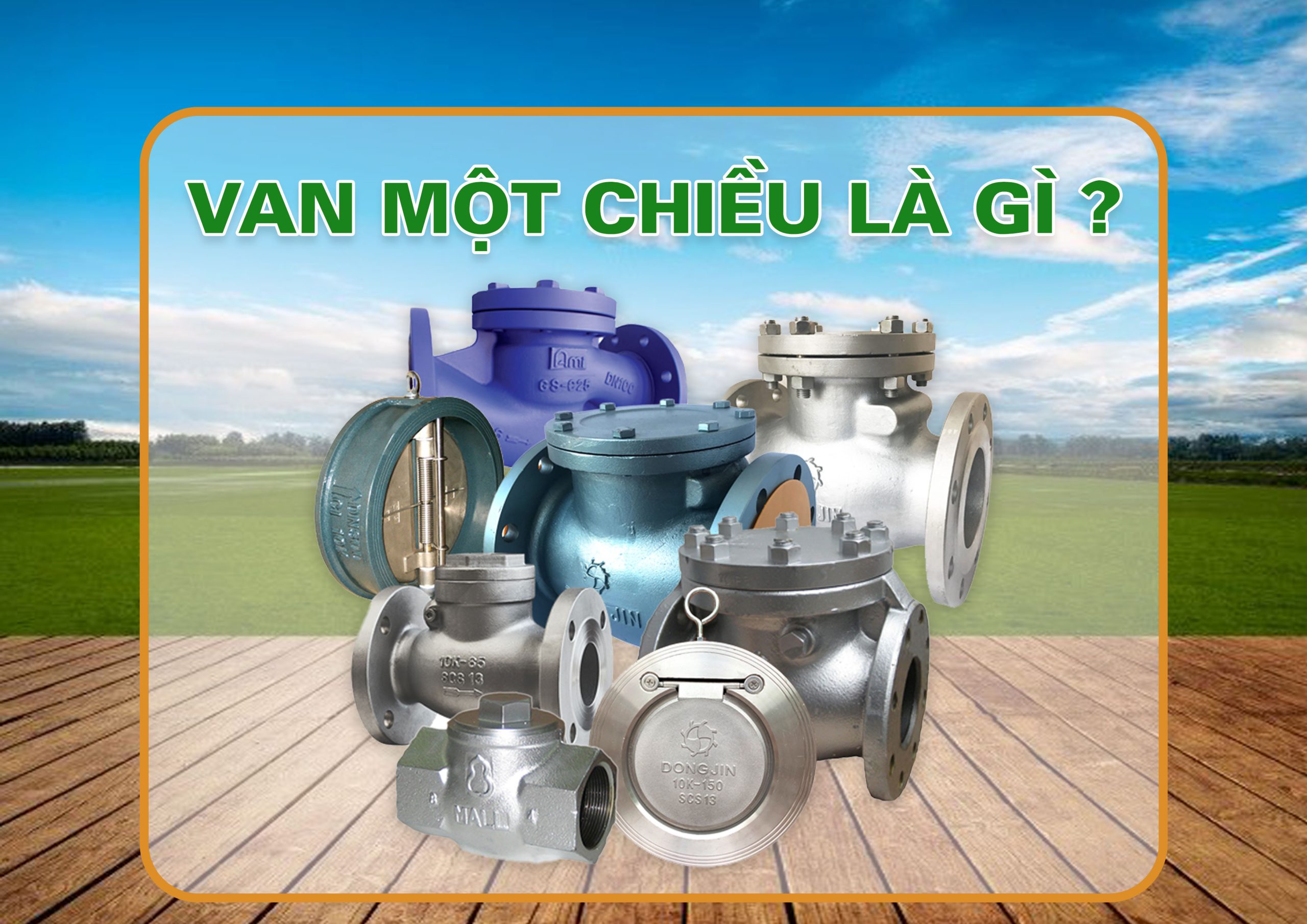 Các Loại Van Một Chiều Thường Dùng Trong Sản Xuất