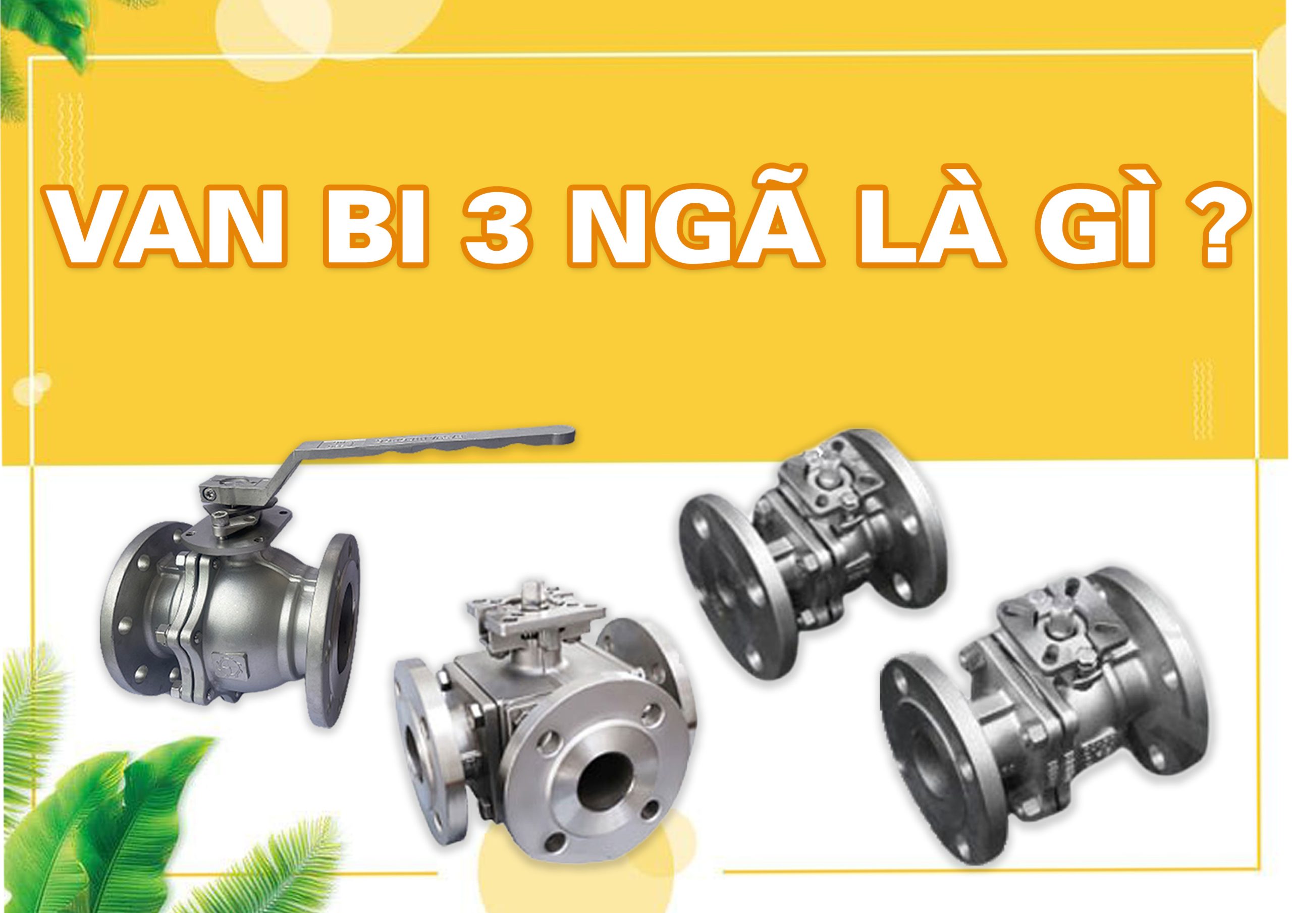 Van bi 3 ngã là gì?
