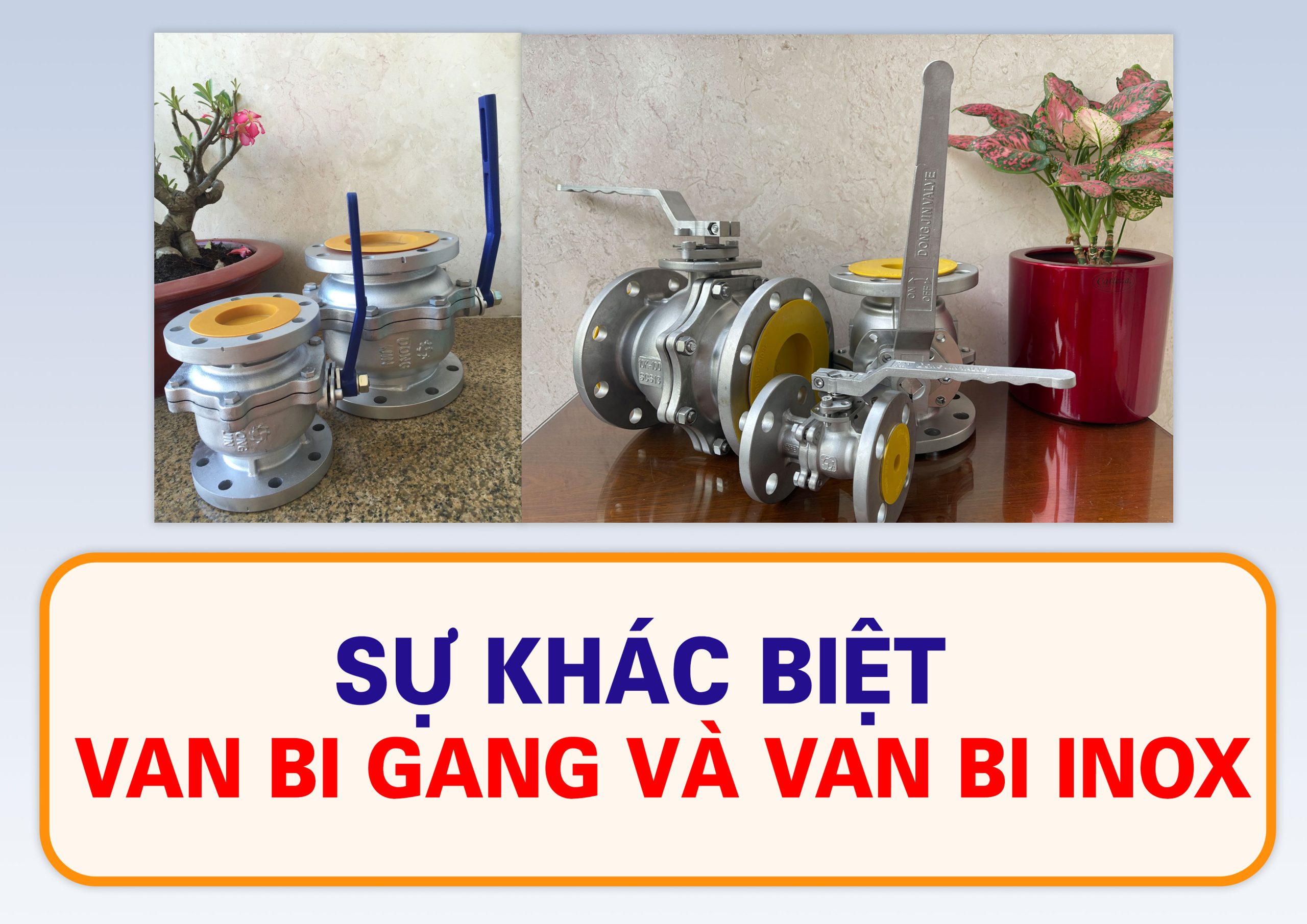 Khám Phá Sự Khác Biệt Giữa Van Bi Gang và Van Bi Inox Cho Ứng Dụng Công Nghiệp