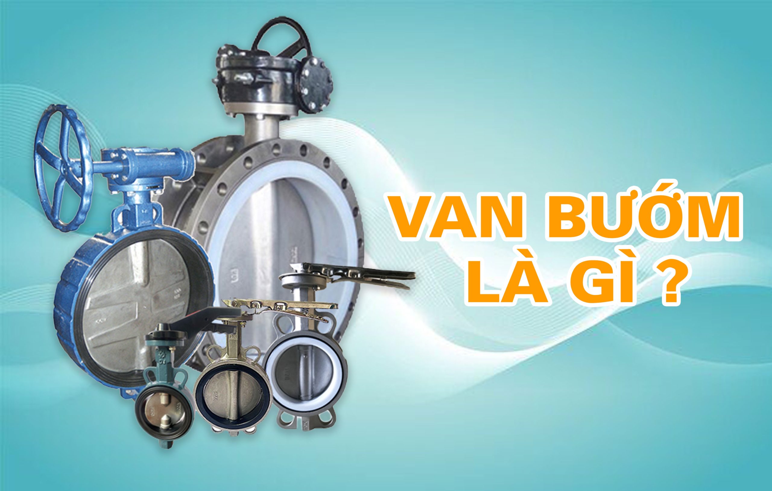 VAN BƯỚM LÀ GÌ ? CÓ MẤY LOẠI VAN BƯỚM ?