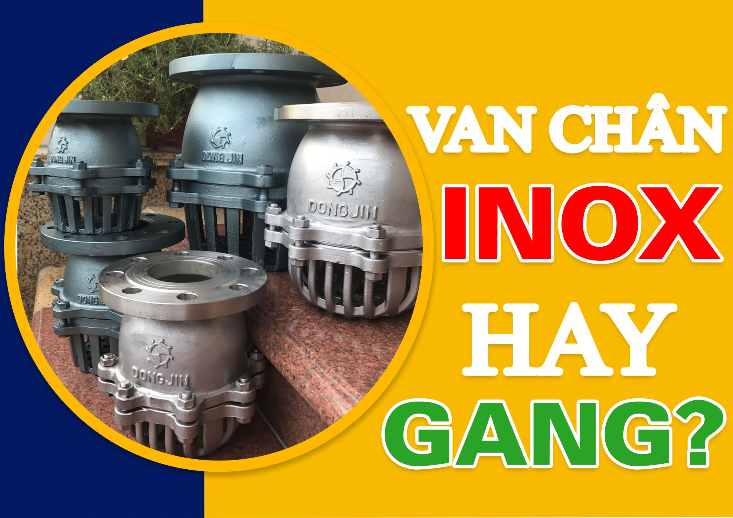 Van Chân Gang Hay Inox: Nên Chọn Loại Nào Cho Hệ Thống Bơm Công Trình?