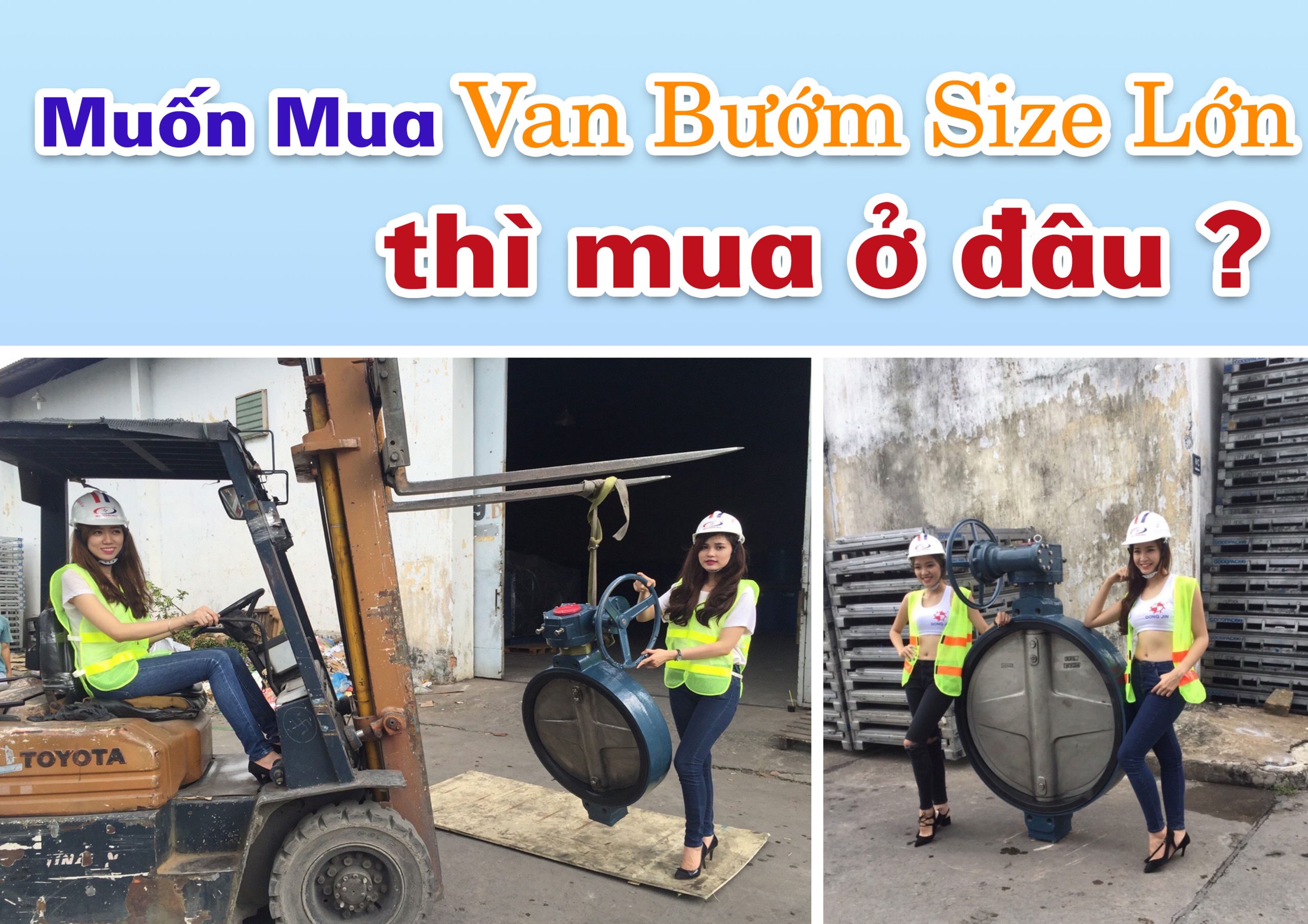 Muốn Tìm Van Bướm Size Lớn, Đường Kính Lớn Ở Đâu Tại Việt Nam?