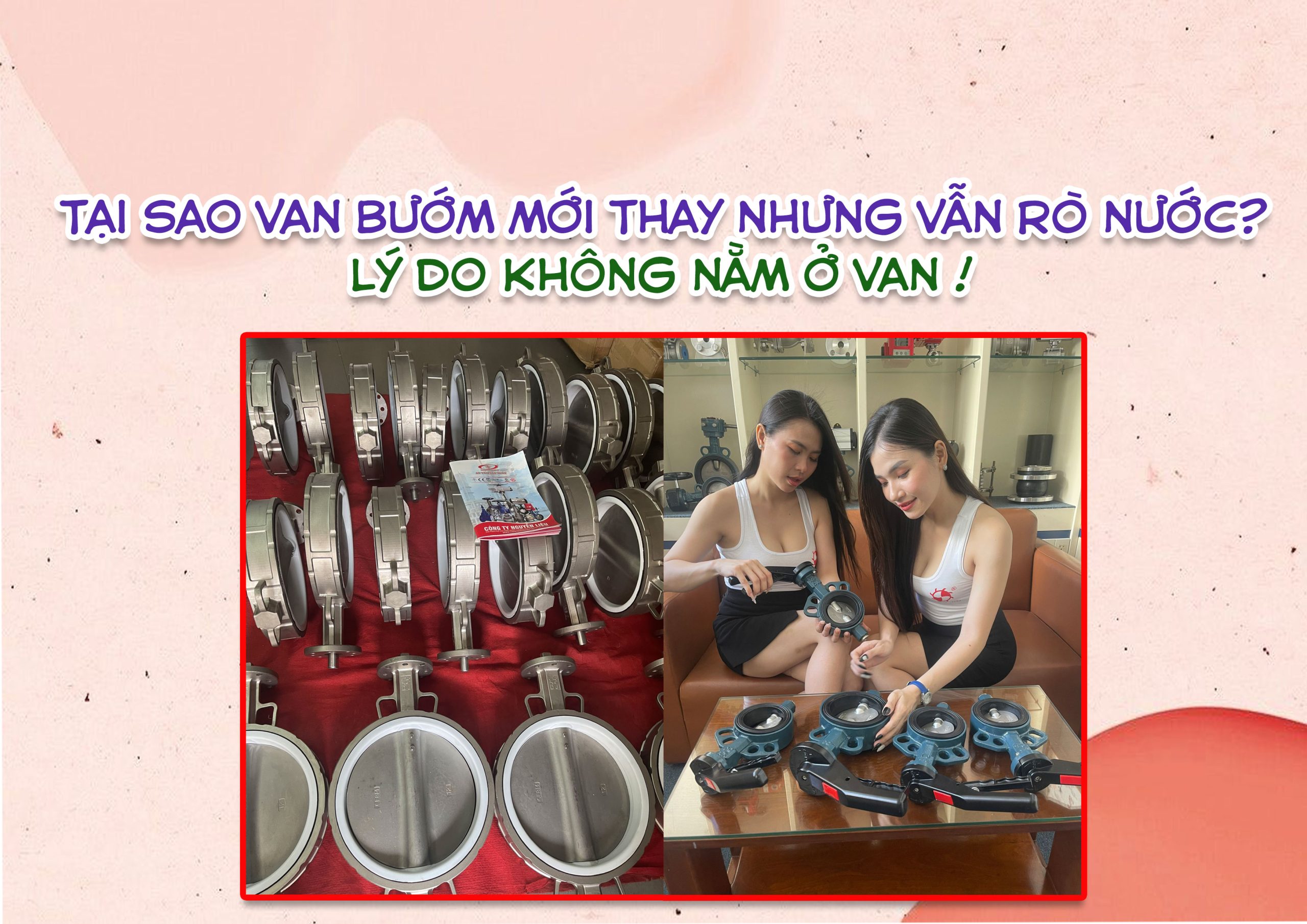 Van bướm và hiện tượng rung khi đóng mở – nguyên nhân từ đâu?
