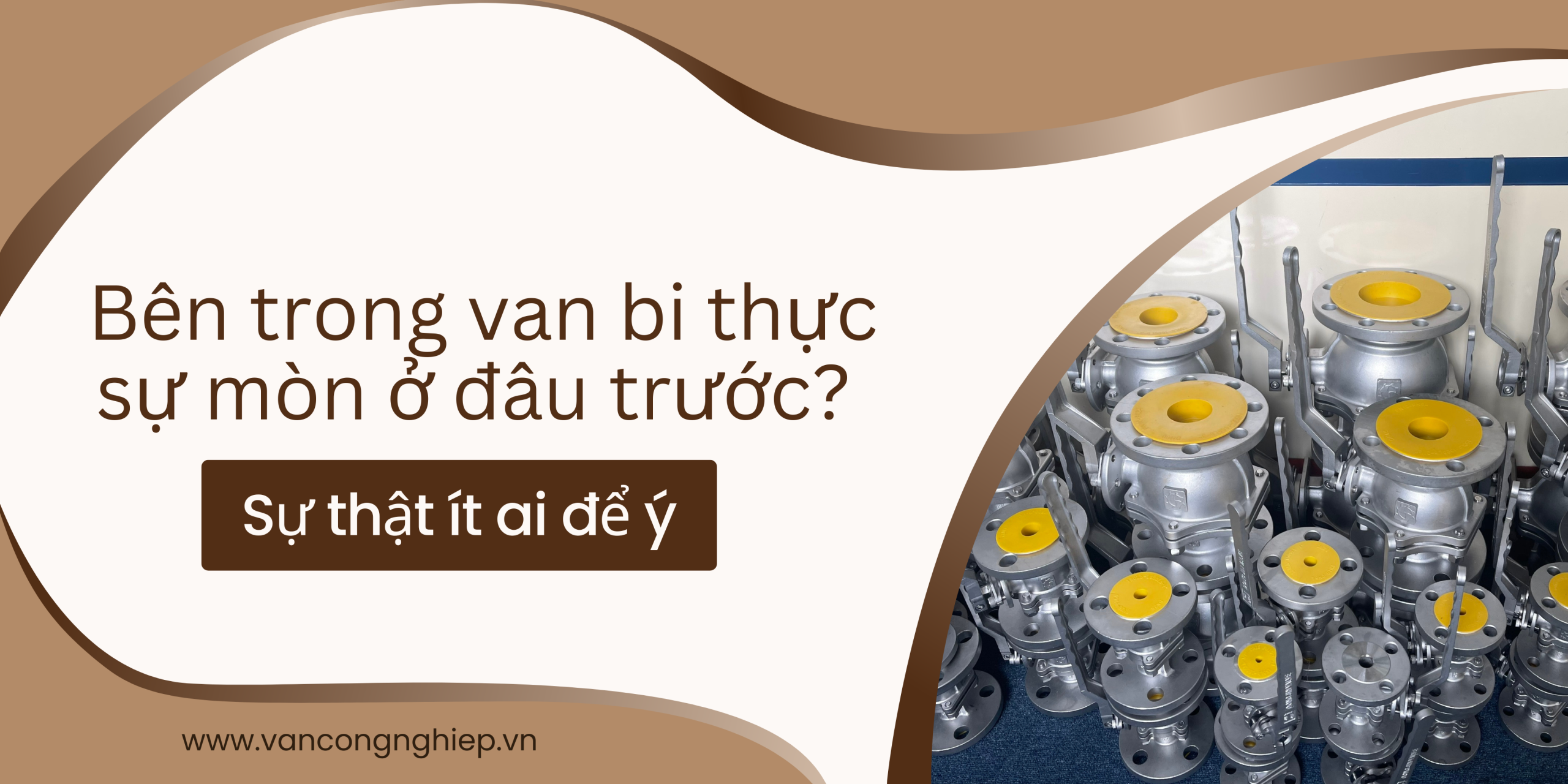 Bên trong van bi thực sự mòn ở đâu trước? Sự thật ít ai để ý