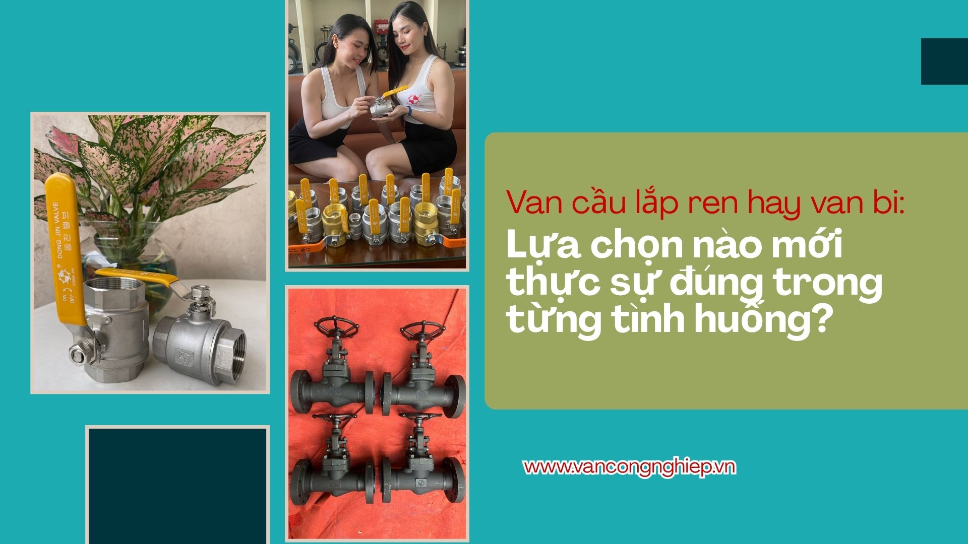 Van cầu lắp ren hay van bi: Lựa chọn nào mới thực sự đúng trong từng tình huống? 