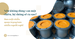 Nếu không dùng van một chiều, hệ thống sẽ ra sao? Van một chiều quan trọng hơn nhiều người nghĩ