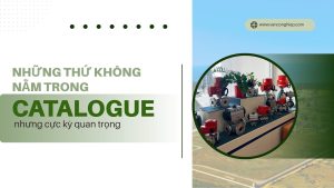 Những thứ không nằm trong catalogue nhưng cực kỳ quan trọng