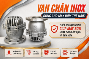 Van Chân Inox Dùng Cho Máy Bơm Thế Nào? Thiết Bị Quan Trọng Giúp Máy Bơm Hoạt Động Ổn Định Và Bền Hơn