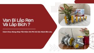 Van Bi Lắp Ren Và Lắp Bích ? Cách Chọn Đúng Giúp Tiết Kiệm Chi Phí Và Vận Hành Bền Lâu