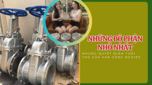 Những Bộ Phận Nhỏ Nhất Nhưng Quyết Định Tuổi Thọ Của Van Công Nghiệp