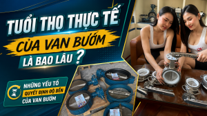 Tuổi Thọ Thực Tế Của Van Bướm Là Bao Lâu? Những Yếu Tố Quyết Định Độ Bền Của Van Bướm