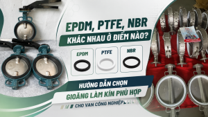 EPDM, PTFE, NBR Khác Nhau Ở Điểm Nào? Hướng Dẫn Chọn Gioăng Làm Kín Phù Hợp Cho Van Công Nghiệp