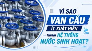 Vì Sao Van Cầu Ít Xuất Hiện Trong Hệ Thống Nước Sinh Hoạt?