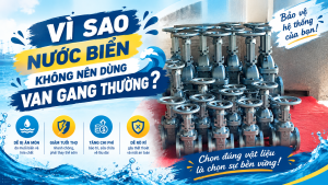 Vì Sao Nước Biển Không Nên Dùng Van Gang Thường?